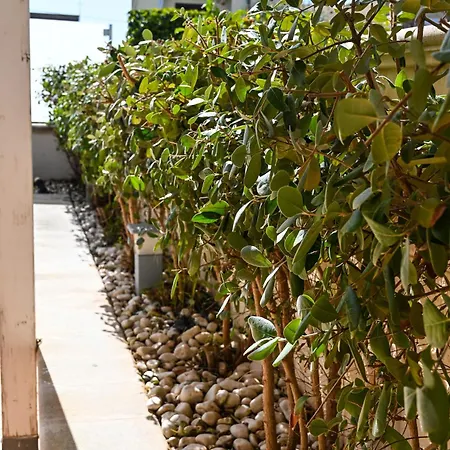 Апартаменты La Casa Azul - Jacuzzi Clima Netflix -